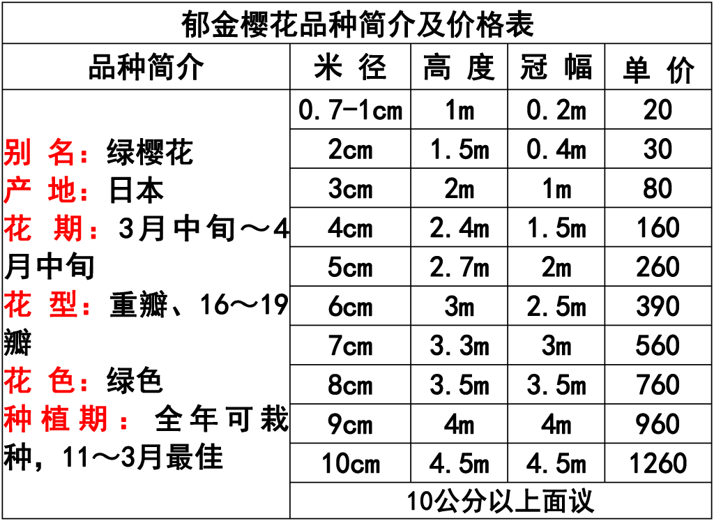 网站价格表 -22 副本.jpg