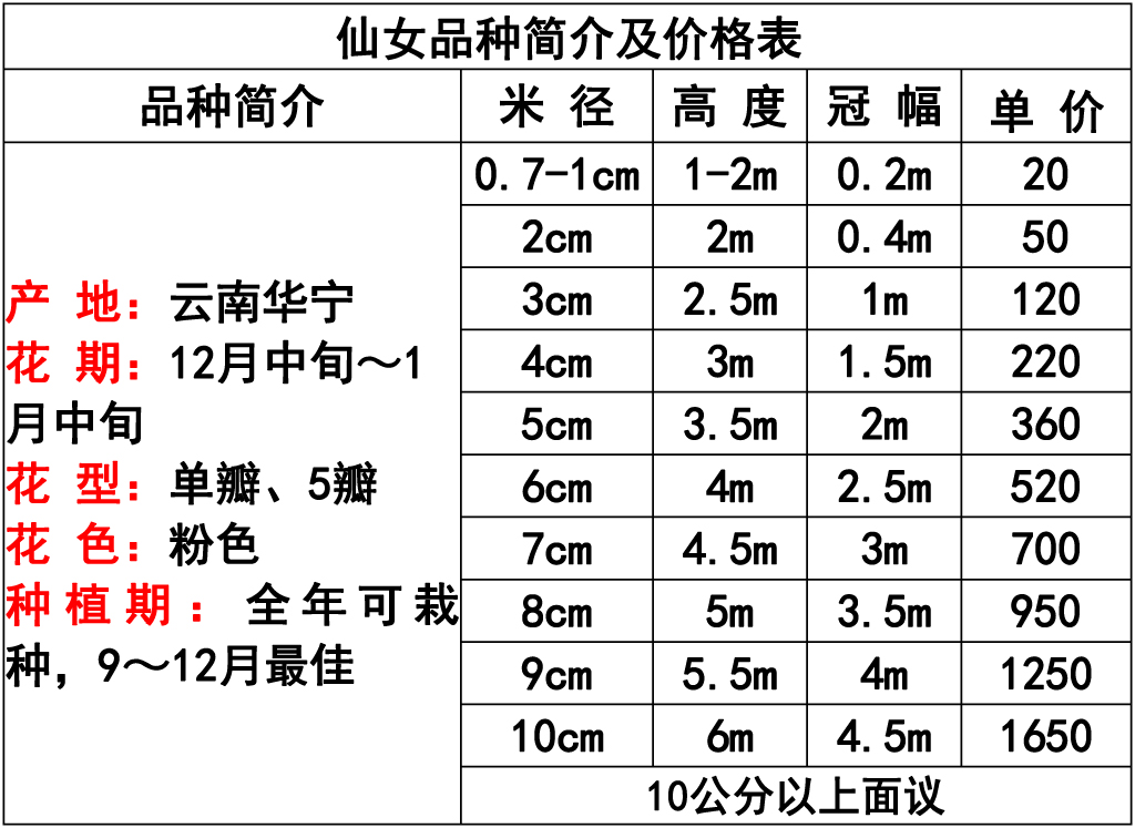 网站价格表 -2 副本.jpg