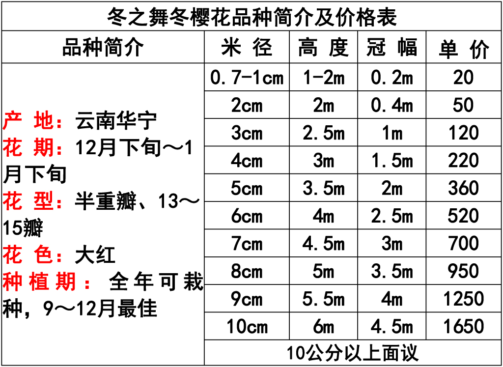 1699842177133605.jpg 网站价格表 -3 副本.jpg