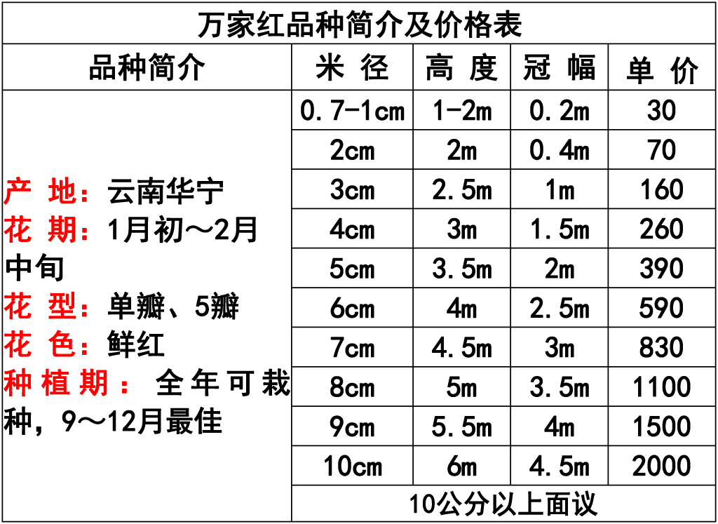 网站价格表 -5 副本.jpg