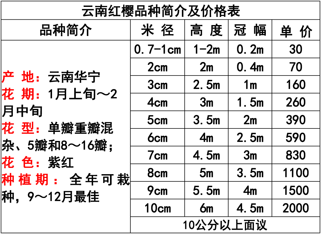 1699842293127460.jpg 网站价格表 -8 副本.jpg