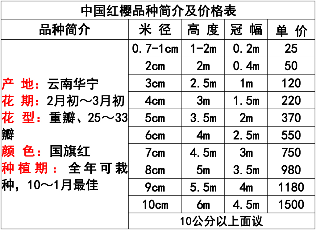 1699842366868811.jpg 网站价格表 -12 副本.jpg