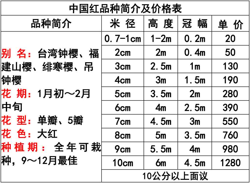 网站价格表 -6.jpg