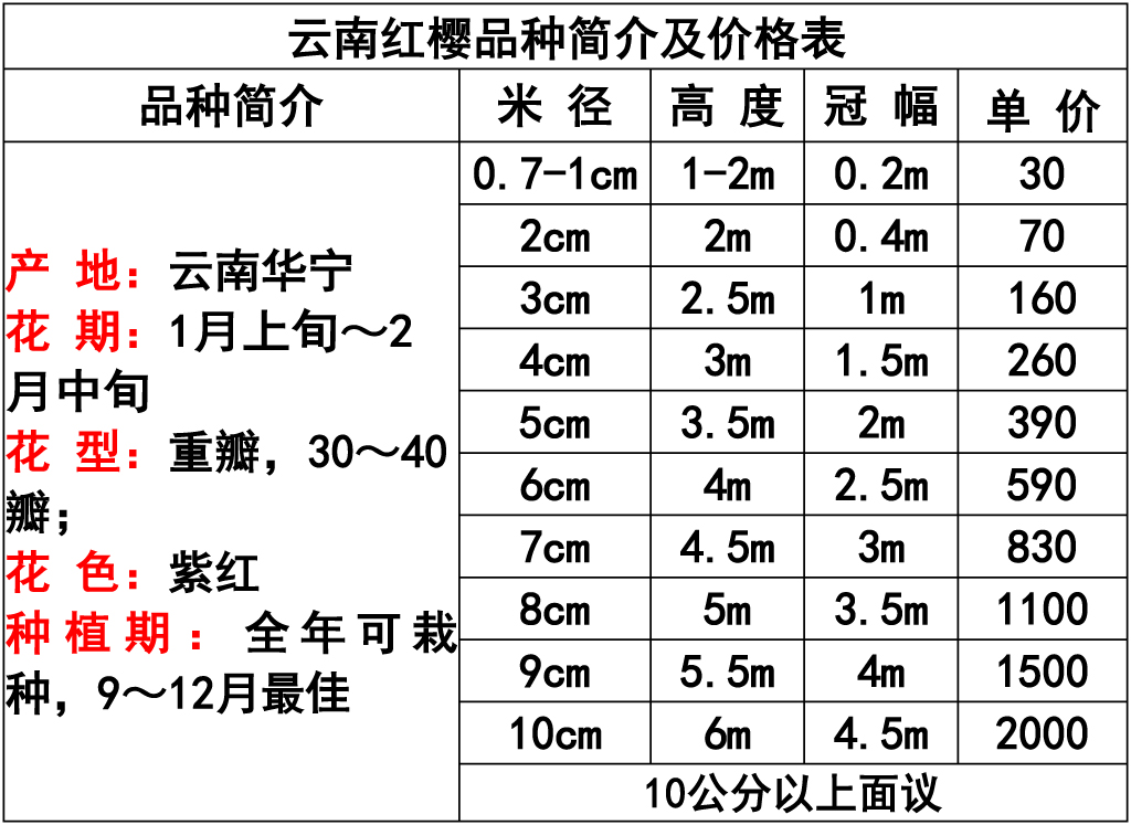 网站价格表 -8.jpg