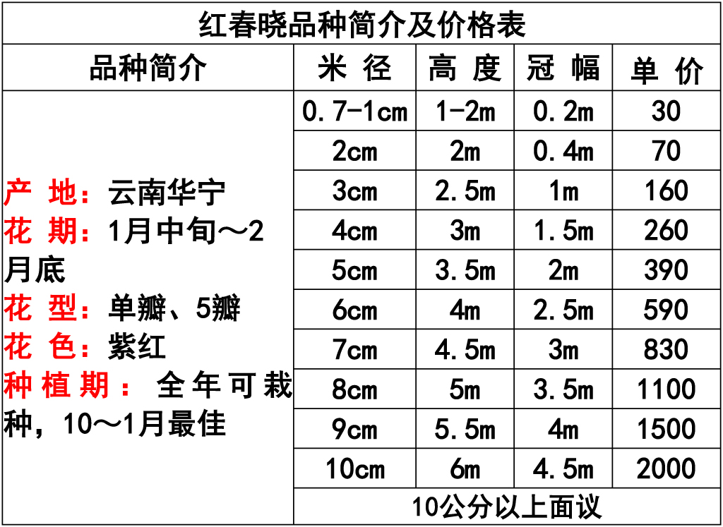网站价格表 -11.jpg
