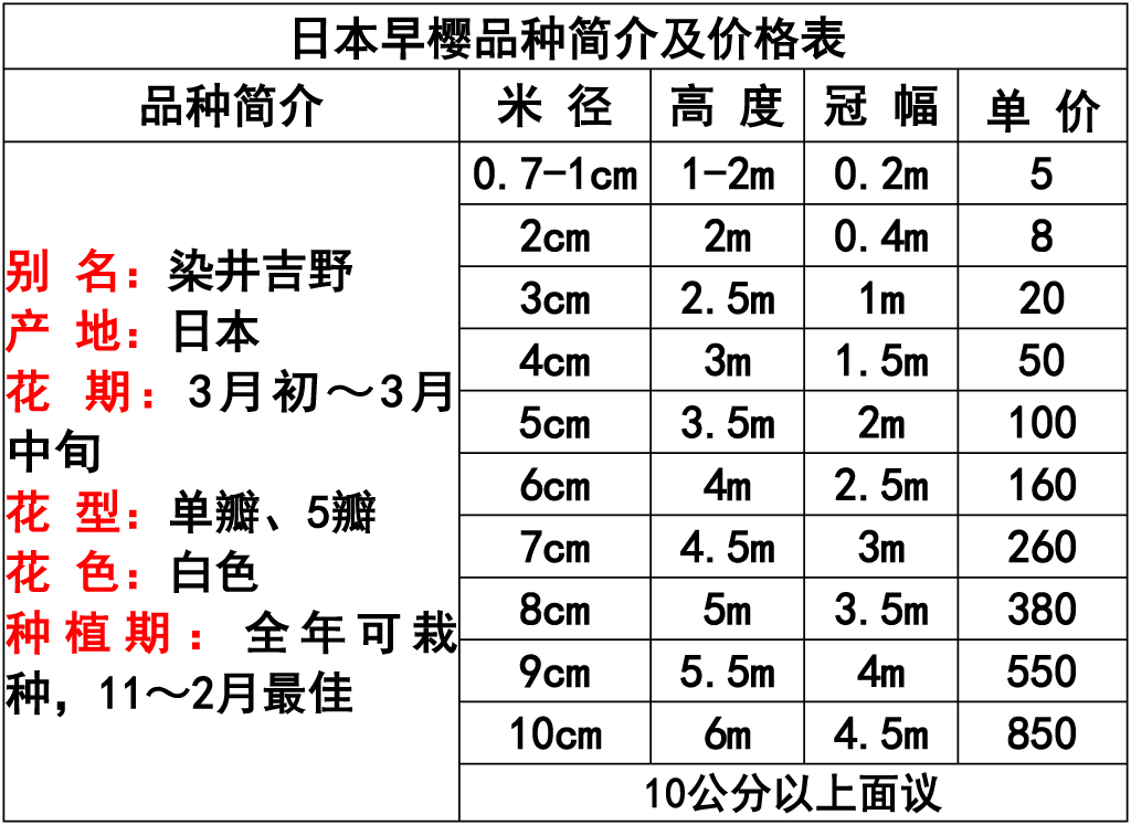 网站价格表 -15.jpg