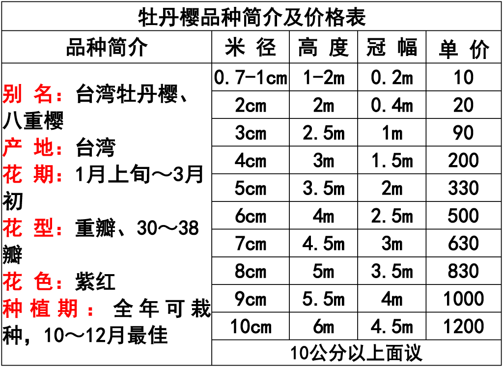 网站价格表 -9.jpg