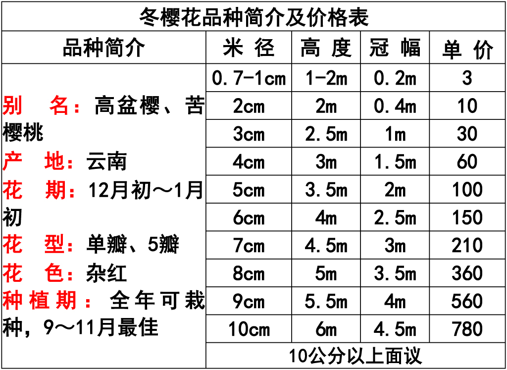 网站价格表 -1.jpg