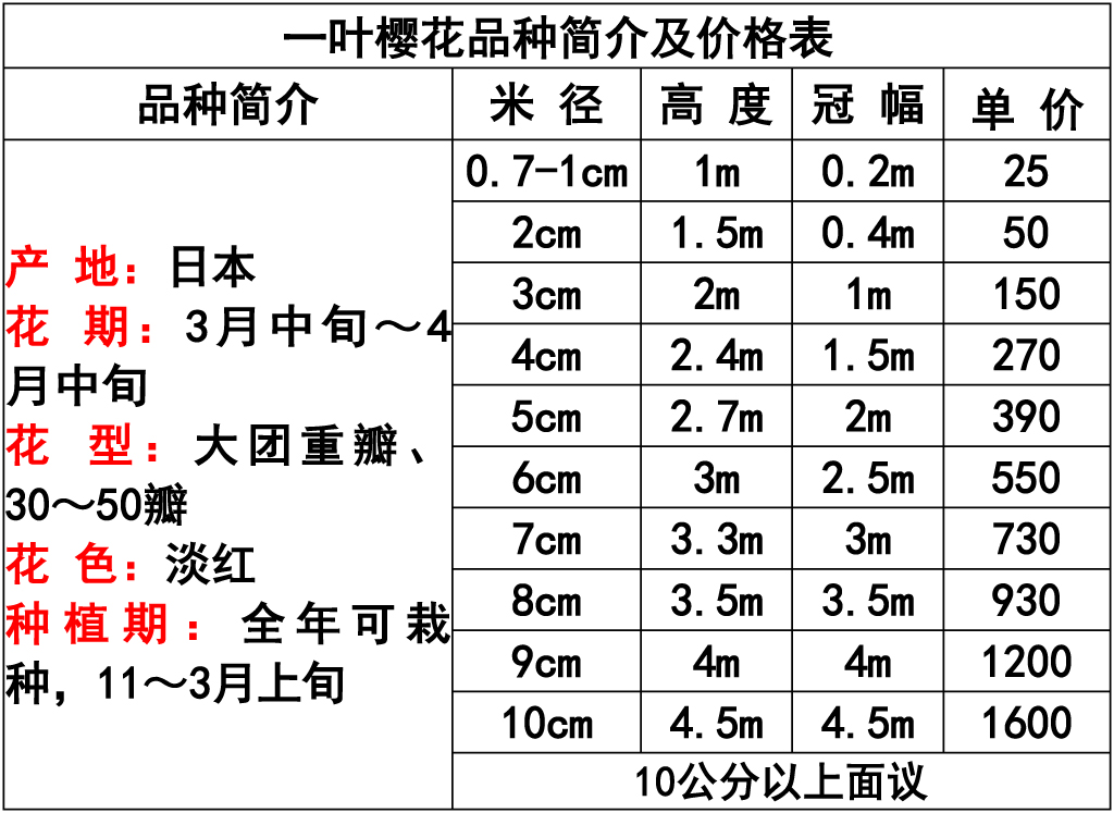 网站价格表 -18.jpg
