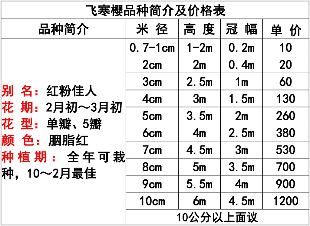 网站价格表 -12.jpg