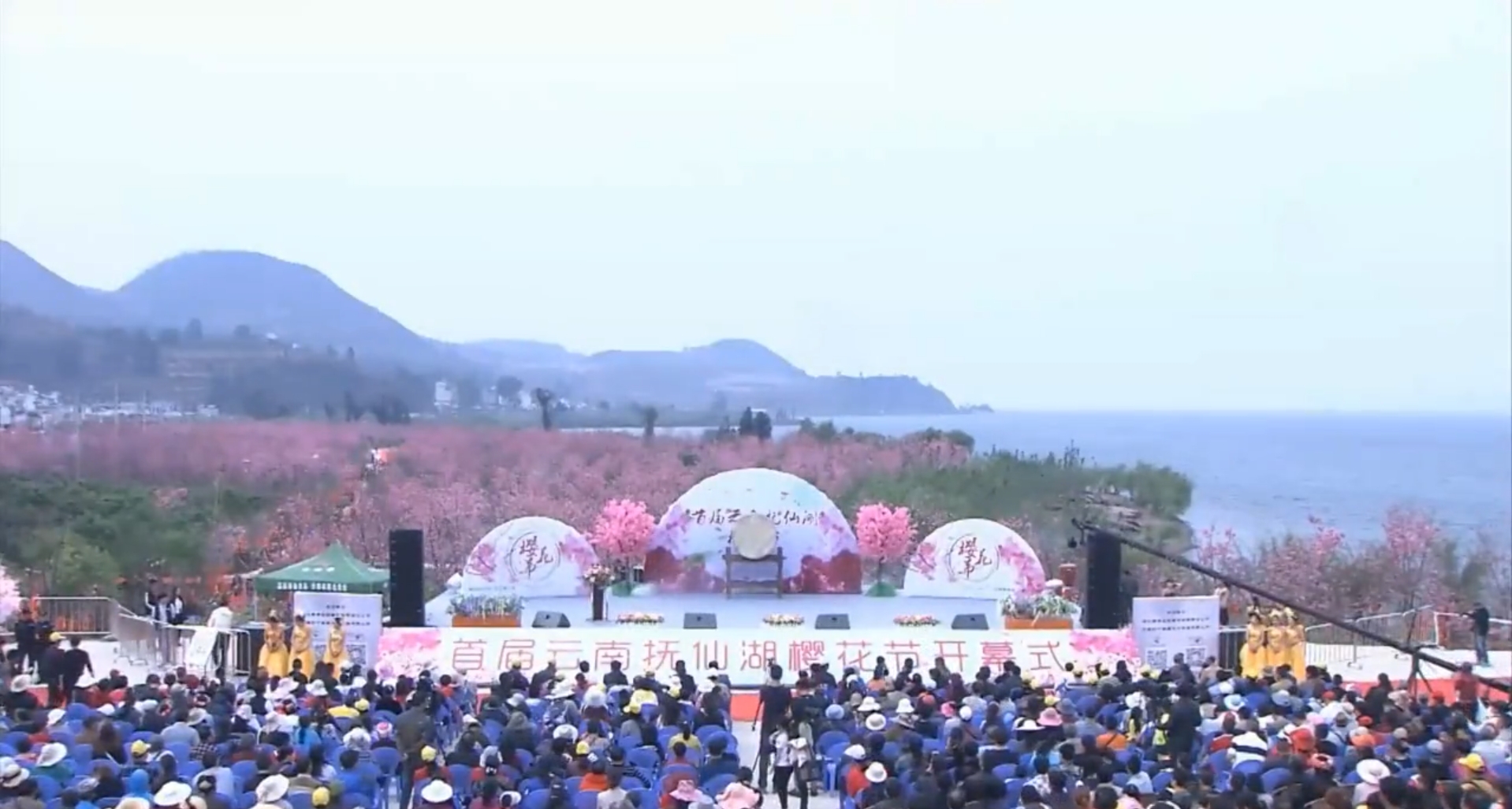 首届云南抚仙湖樱花节开幕式全视频