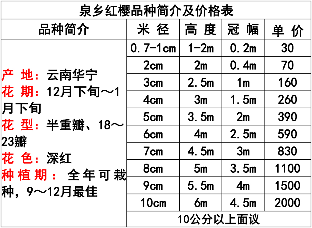 网站价格表 -1.jpg