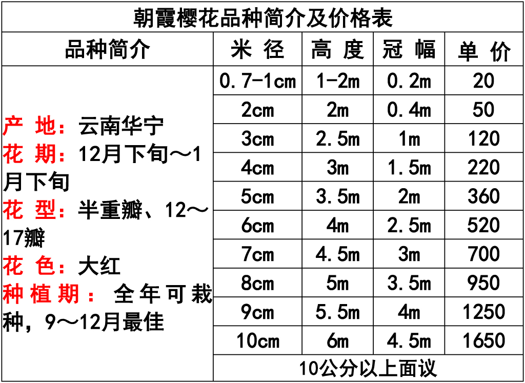 网站价格表 -2.jpg