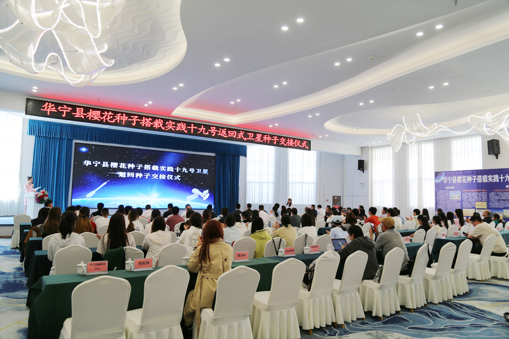 我国首例遨游太空的樱花种子在华宁交接