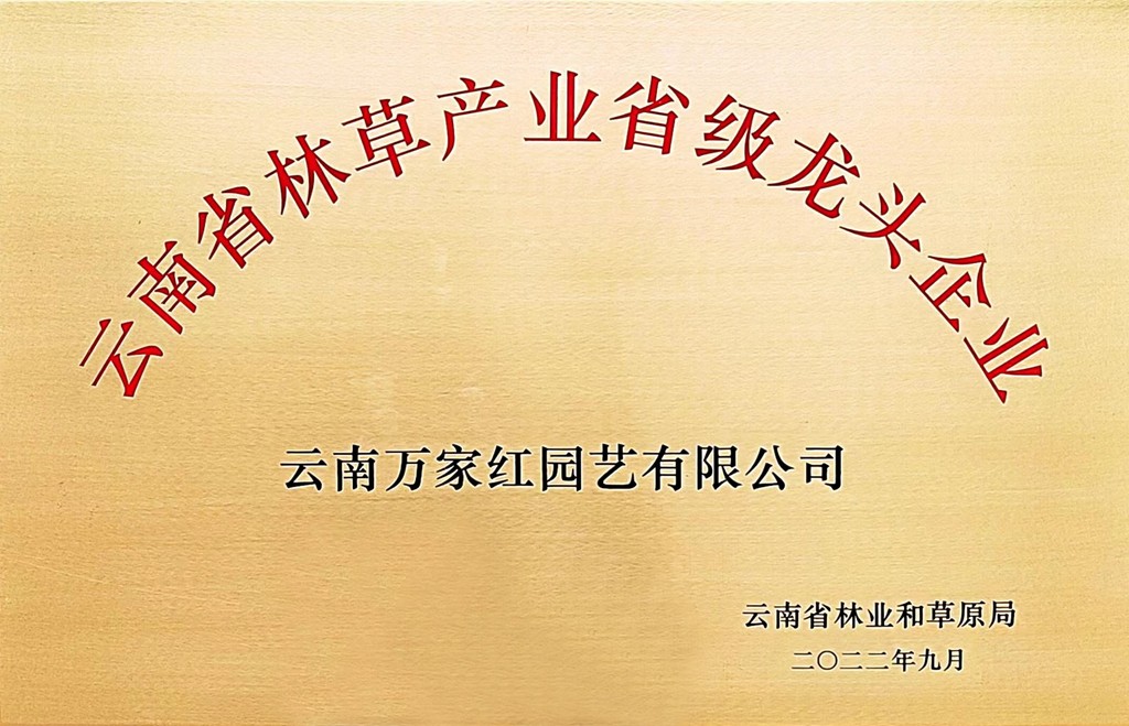云南省林草产业省级龙头企业