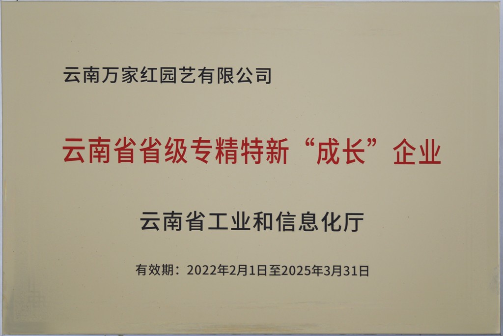 1749109544729388.jpg