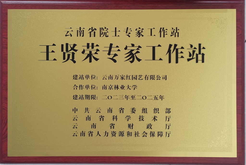 1749109580405574.jpg