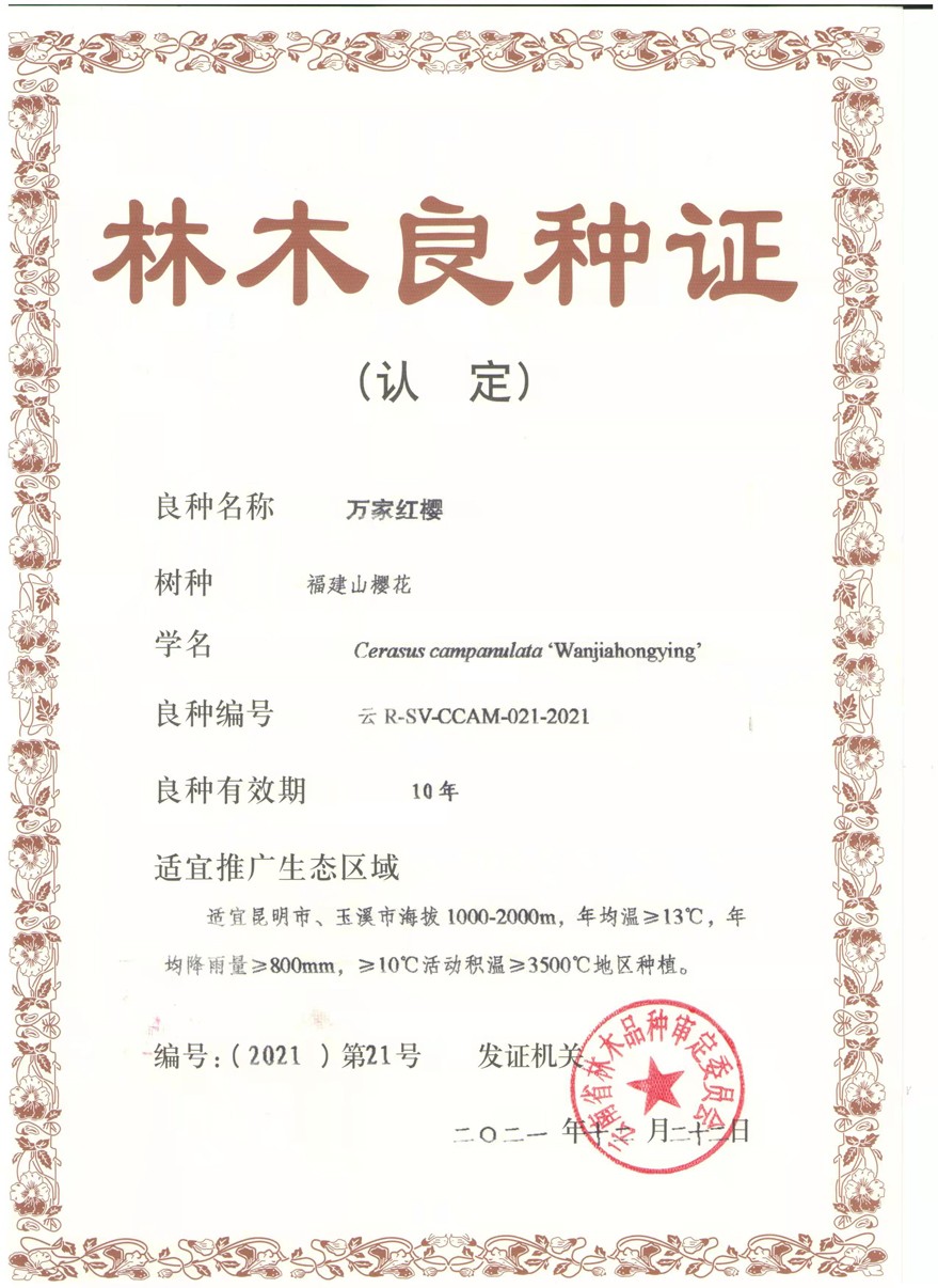 1749173419497834.jpg
