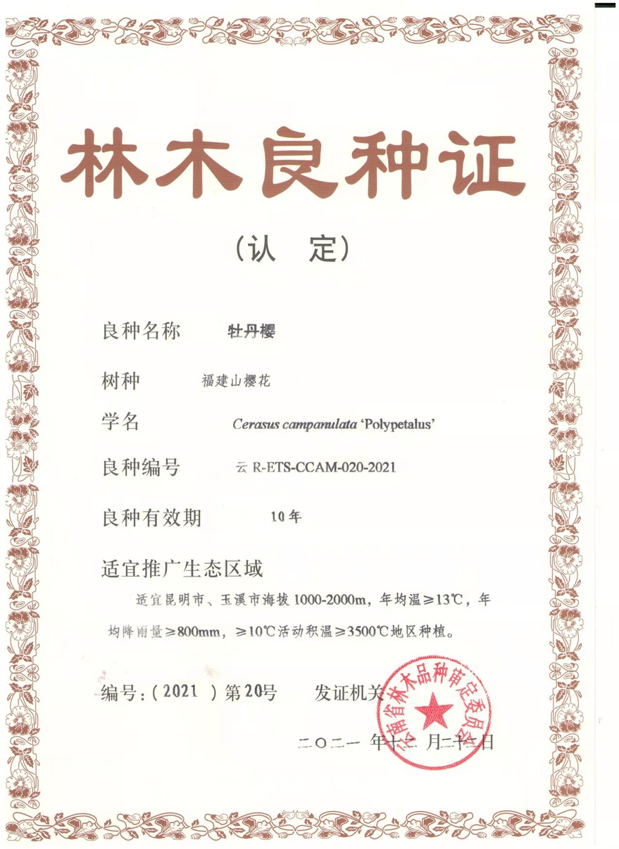 1749173419542114.jpg