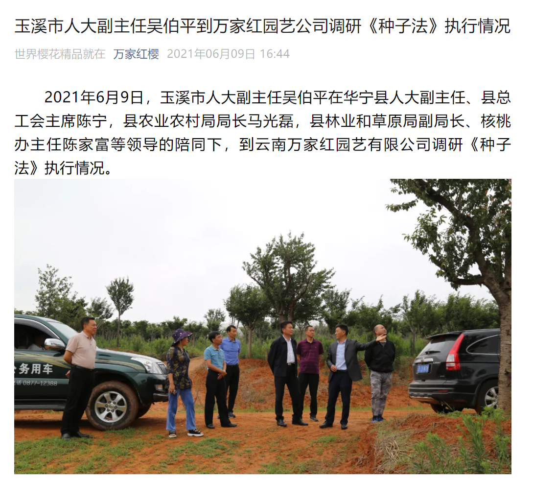 玉溪市人大副主任吴伯平到万家红园艺公司调研《种子法》执行情况