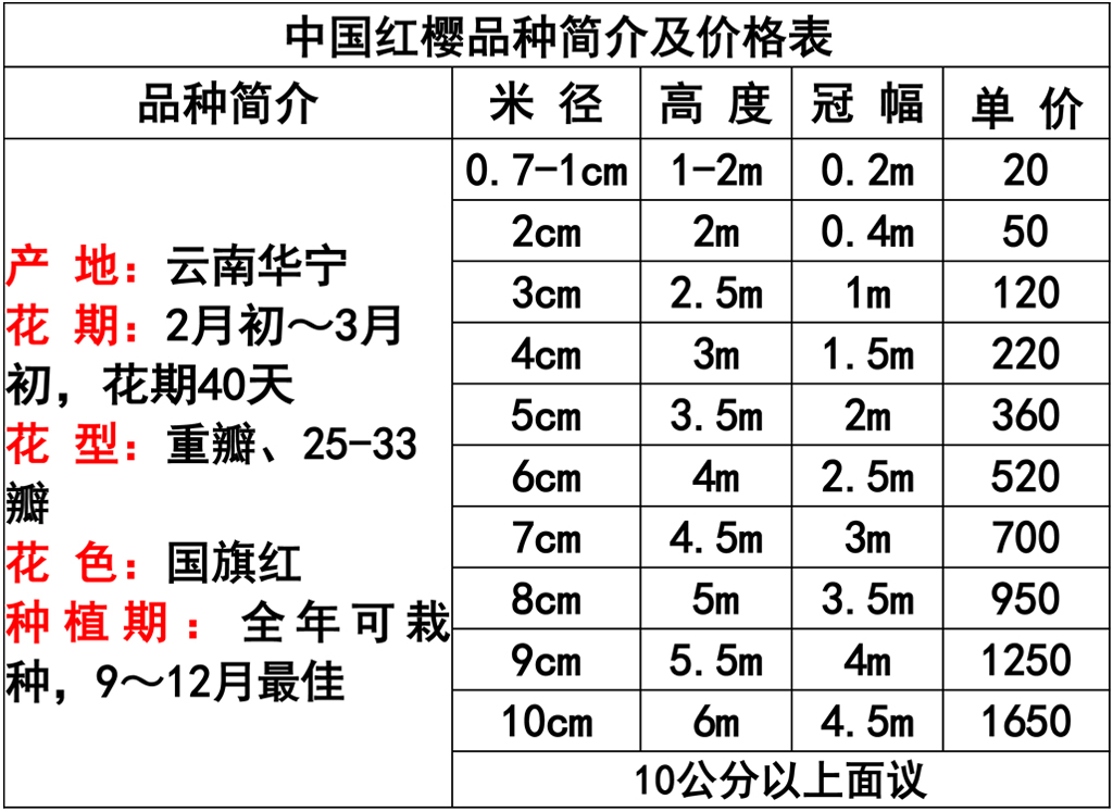 网站价格表 -1.jpg