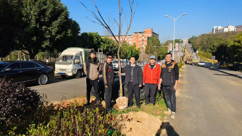 万家红樱花，助力玉溪师范学院美丽校园建设！