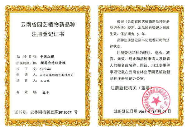中国红樱植物新品种证书