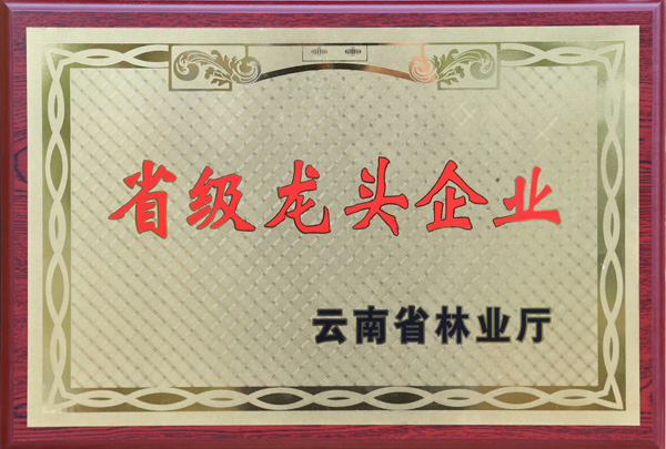省龙头企业牌匾