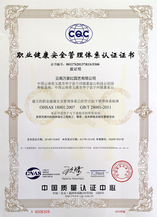 职业健康安全管理体系认证证书