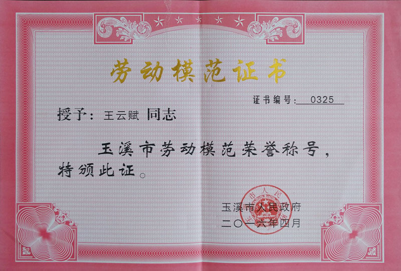 Wang Yunfu Yuxi City-level Labor Model Certificate