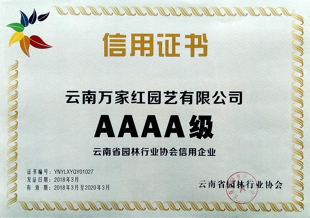 Our company has been recognized as “AAAA Credit”