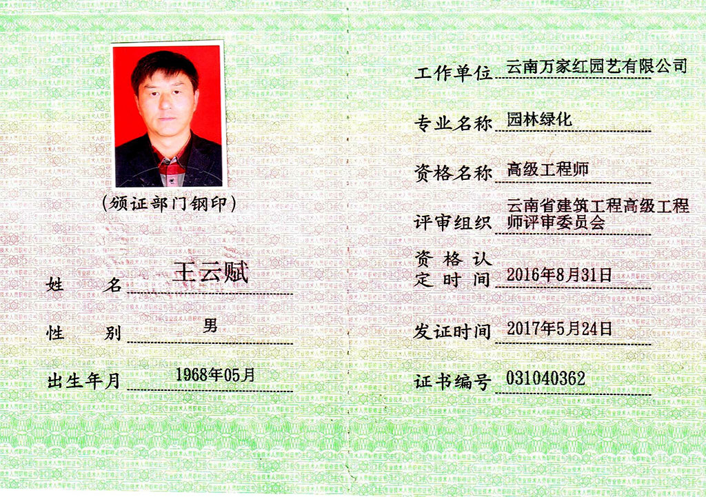 Chairman of the Board of Directors Wang Yunfu Senio